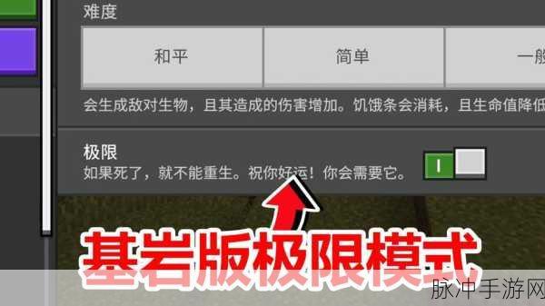 我的世界基岩版手游模组添加全攻略
