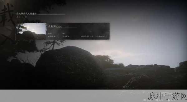 怪物猎人游戏更新后,玩家如何精准定位最适合自己的职业?