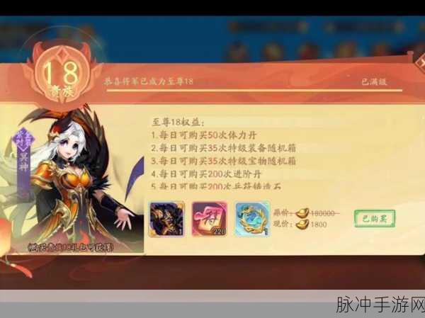 少年三国志2深度揭秘,开场护盾的获取与运用策略