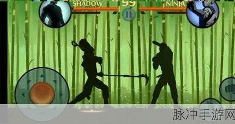 暗影格斗2中文最新版游戏下载,不得不玩的经典动作格斗游戏深度解析