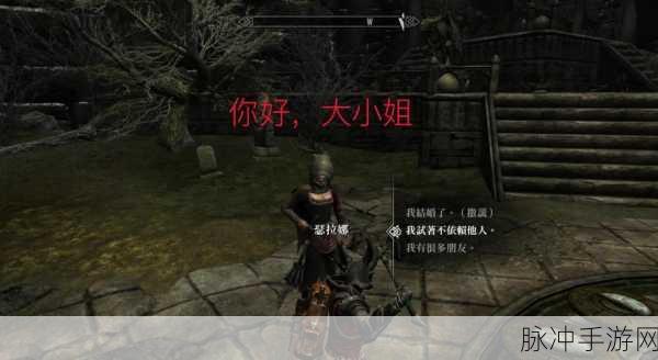 上古卷轴5，全新攻略揭秘，高效招募与管理随从的必备技巧