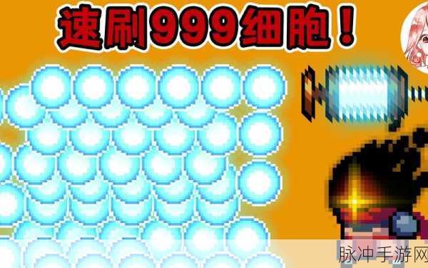 元气骑士,揭秘枭首者解锁条件与全面攻略