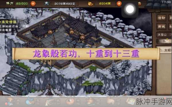 烟雨江湖深度攻略,解锁龙象般若功十一层的奥秘