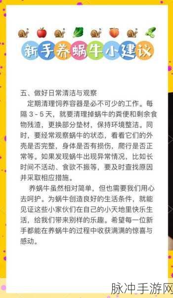 最强蜗牛蜗壳保养全攻略,解锁蜗壳保养选项的秘籍