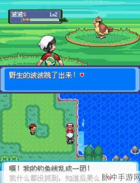 口袋妖怪之皮肤魅力,独特皮肤特性深度揭秘