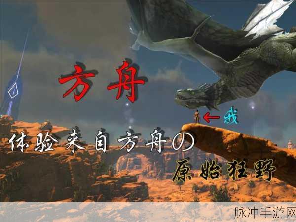 方舟生存进化深度攻略,企鹅抓捕全解析及饲料与分布指南