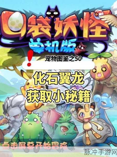 口袋妖怪单机版下载指南与全面攻略