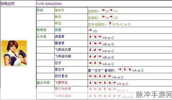 拳皇97OL超级副本奖励攻略,揭秘哪个副本奖励最丰厚及高效通关秘籍