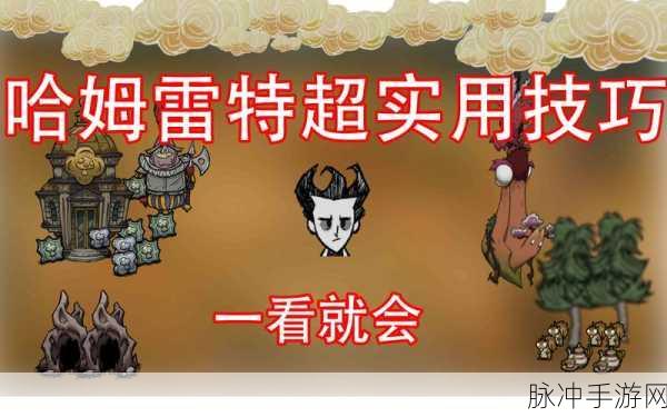 哈姆雷特芦苇探秘,饥荒玩家的终极生存指南