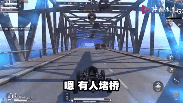 和平精英决战桥巅,掌握桥上决赛圈战斗技巧,助你成功吃鸡