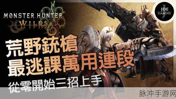 便捷操作指南，深入探究怪物猎人游戏中快速收起武器的按键