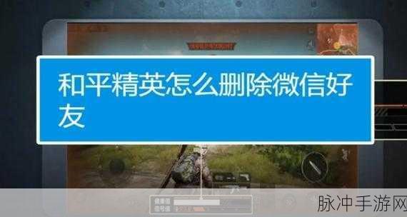和平精英好友管理攻略,如何有效屏蔽QQ与微信好友