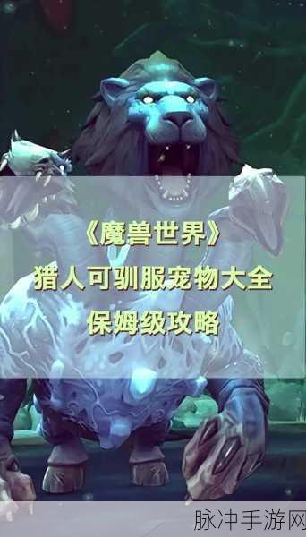 魔兽世界联盟,那些不可或缺的宠物伴侣全攻略