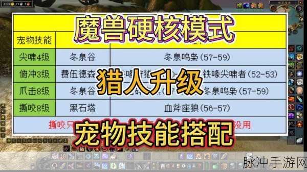 魔兽世界联盟,那些不可或缺的宠物伴侣全攻略