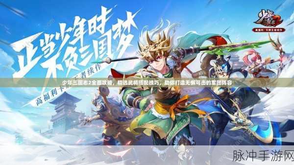 少年三国志2游戏攻略,全面解析变身卡,助你挑选最适合的战斗伙伴
