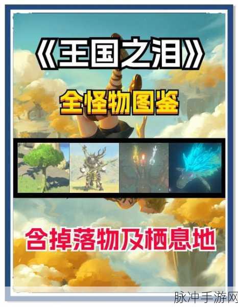 塞尔达传说王国之泪,精灵捕捉全攻略详解