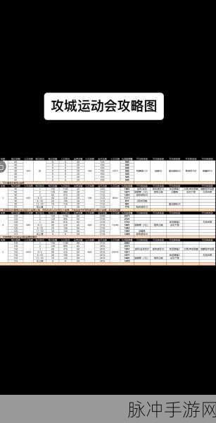 攻城掠地武将等级飙升秘籍，资源管理视角下的高效策略揭秘