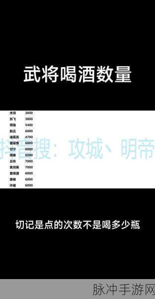 攻城掠地武将等级飙升秘籍,资源管理视角下的高效策略揭秘