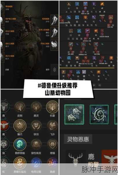 暗黑黎明深度解析,疯子布尼尔四级进阶装备全面介绍及亮点揭秘