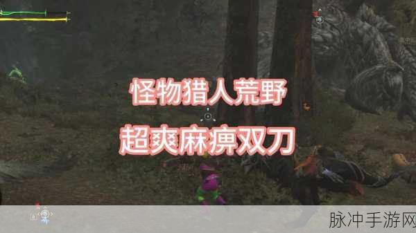 怪物猎人1手游攻略,麻痹蘑菇、麻痹弹与音爆弹详解