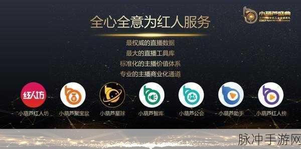 小葫芦智库揭秘,半年崛起,这家公会如何撑起龙珠王者荣耀区半边天