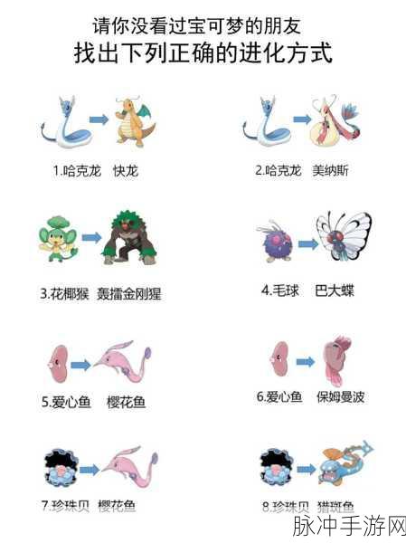 口袋妖怪白金光,皮卡丘进化策略全解析