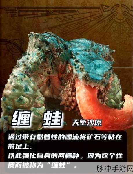 怪物猎人X深度攻略,怪物弱点一览介绍