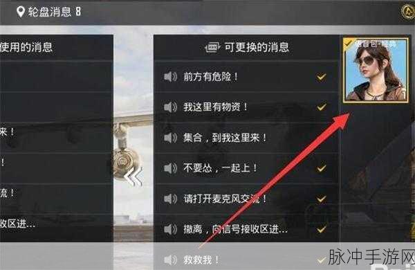 和平精英手游攻略，轻松设置个性化吃鸡语音包