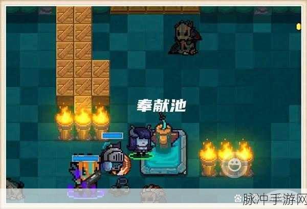 深度解析元气骑士,揭秘奉献池的秘密与强大作用