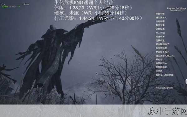 生化危机8诡影难度速通秘籍,新手也能挑战极限,速看高手心得详解!