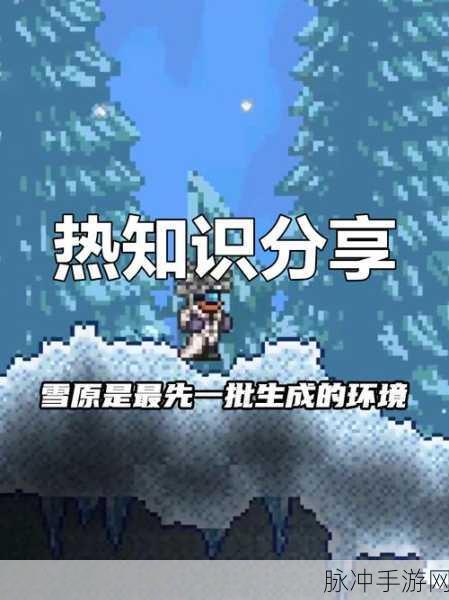 泰拉瑞亚攻略深度解析，揭秘无尽饱腹的获取秘籍与游戏最新动态