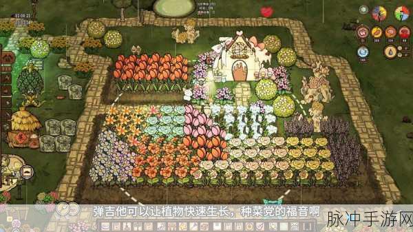 饥荒手游深度攻略，花田建造与快速刷黄油法