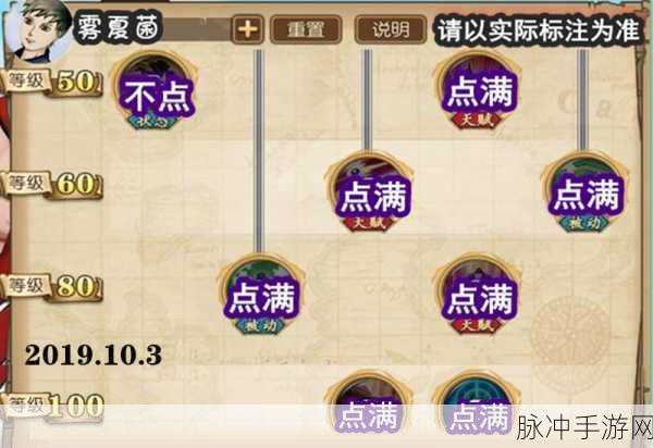 航海王燃烧意志站位调整与位置互换策略全解析