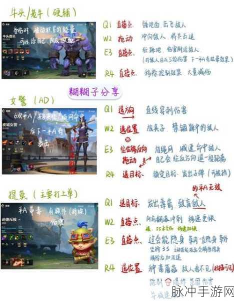 LOL全服综合最优区深度解析，从实力到体验的全方位考量