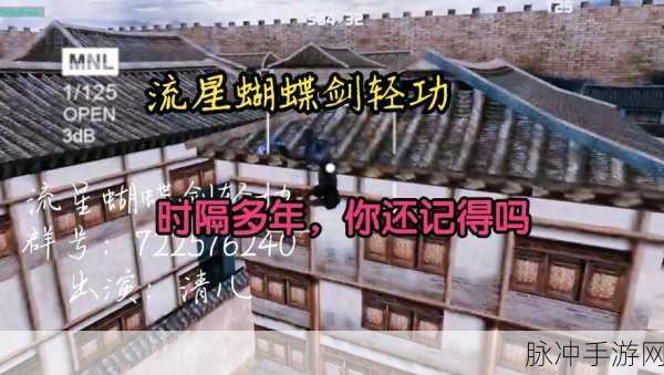 流星蝴蝶剑手游深度攻略,掌握武器切换技巧与轻功匕首优选,揭秘资源管理艺术
