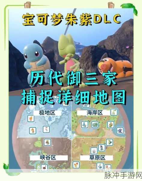精灵宝可梦手游深度攻略，揭秘御三家专属誓约招式