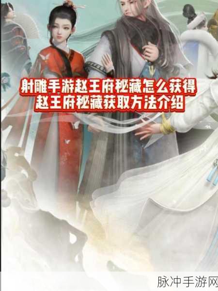 射雕手游赵王府秘藏获取全攻略,解锁隐藏宝藏与强力技能