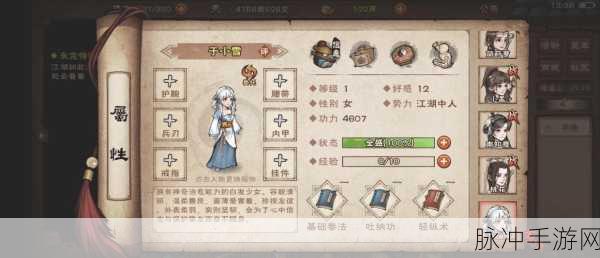 烟雨江湖深度攻略,落霞镇与泰安镇支线任务详解