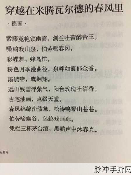 白荆回廊中明月尘茶憩,独家配方揭秘,沉浸古风雅韵的悠闲时光指南