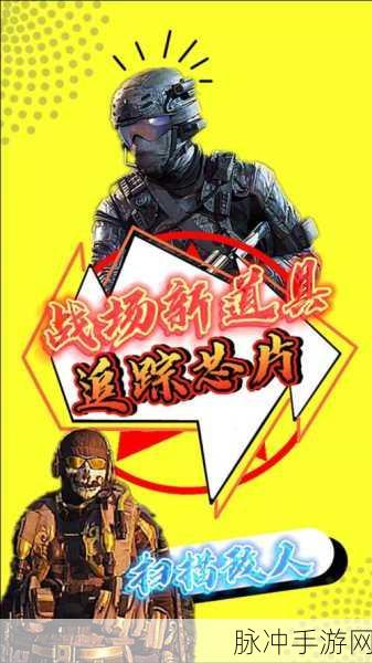 使命召唤手游使命战场芯片深度解析与攻略