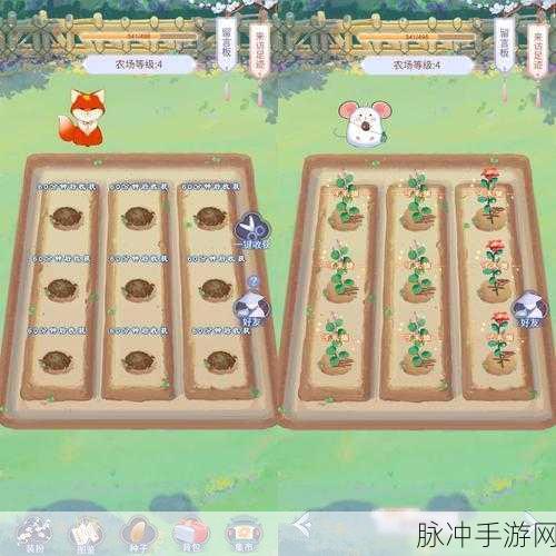 DNF种菜表全攻略,打造你的地下城,经营你的农场,书写你的传奇!