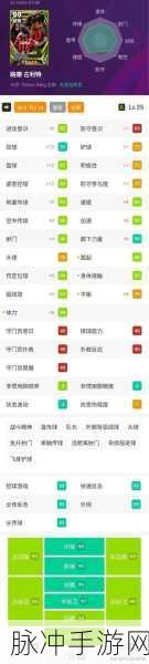 FIFA足球世界左后卫攻略,专家力荐帕克豪斯