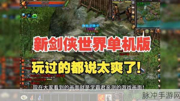 剑侠世界1全面攻略，玩转游戏技巧一网打尽秘籍