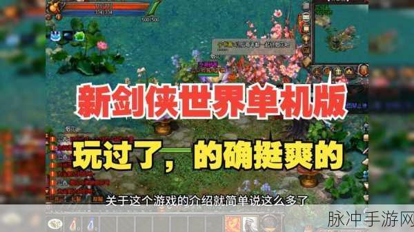 剑侠世界1全面攻略,玩转游戏技巧一网打尽秘籍