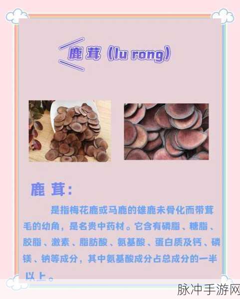 江湖悠悠深度揭秘，鹿茸药材高效获取方法与秘籍大公开