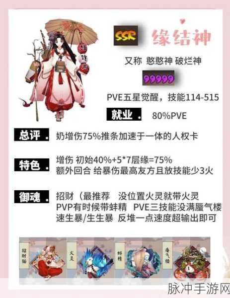 阴阳师手游攻略,揭秘缘结神皮肤的多样魅力与真伪辨识