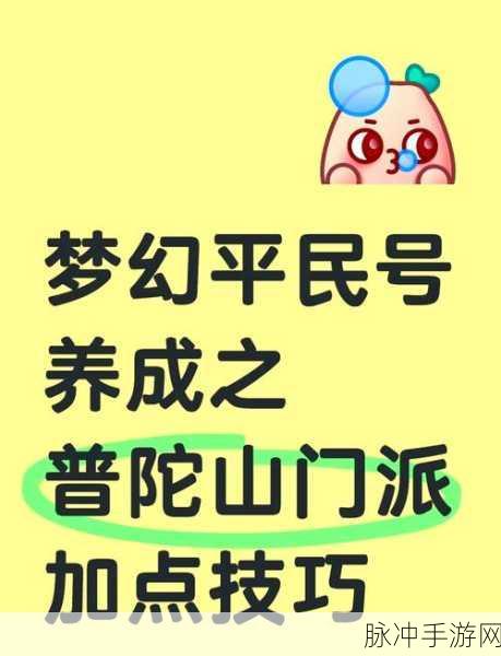 普陀山攻略，梦幻西游手游加点全解析