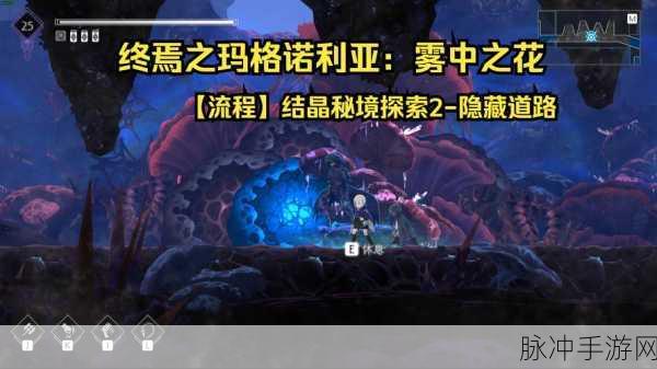 我的世界手游深度攻略,揭秘神秘揭示护目镜研究笔记的解锁之道