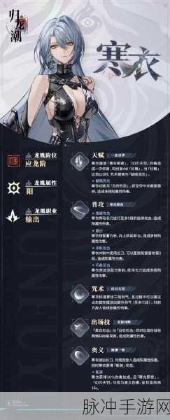 归龙潮组队搭配全攻略,深度解析配队思路