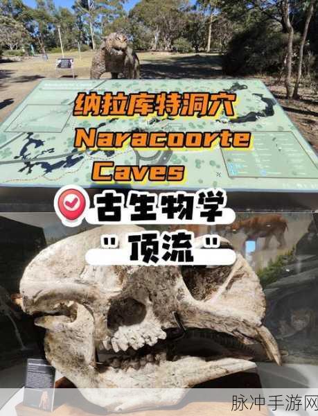 伊洛纳矿洞探险,揭秘第二层入口与下矿攻略
